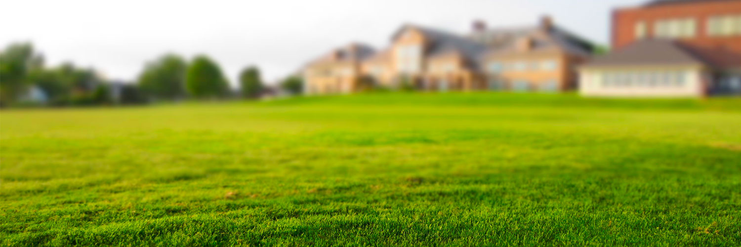 Aprendiendo Real Estate En Espanol MeaningKosh